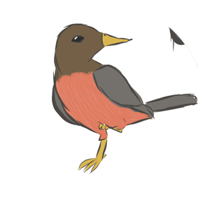 bird